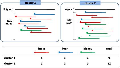 Cluster Member Matrix