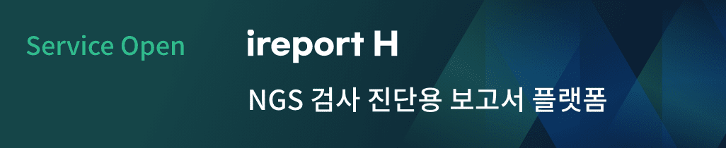 ireport H 정식 론칭