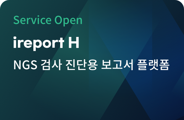 ireport H 정식 론칭