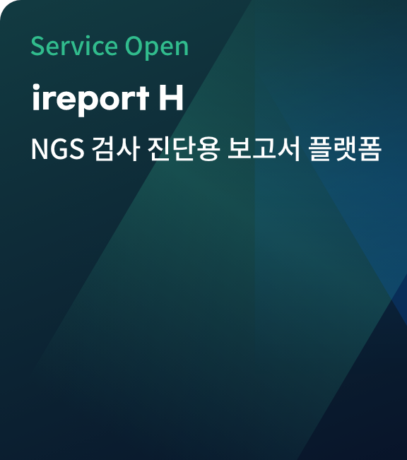 ireport H 정식 론칭